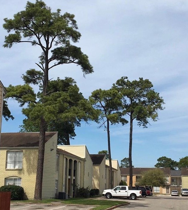 6200 W Tidwell Rd #2403, Houston, TX 77092