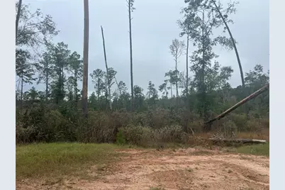 Tbd Reveille Road, Livingston, TX 77351 - Photo 6