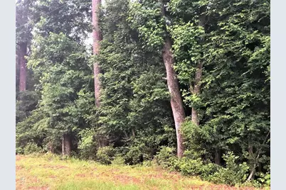 Lot 217 Mallard Drive, Coldspring, TX 77331 - Photo 10