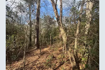 Lot 217 Mallard Drive, Coldspring, TX 77331 - Photo 2