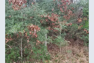 Lot 1 & 2 Oakley Road, Trinity, TX 75862 - Photo 10