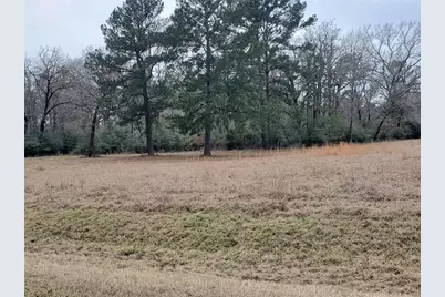 Lot 1 & 2 Oakley Road, Trinity, TX 75862 - Photo 20