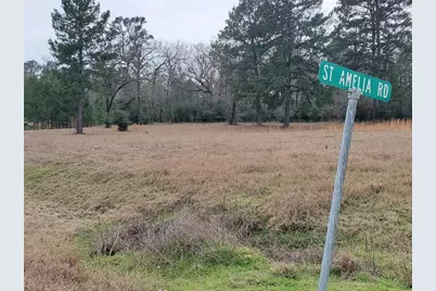 Lot 1 & 2 Oakley Road, Trinity, TX 75862 - Photo 14