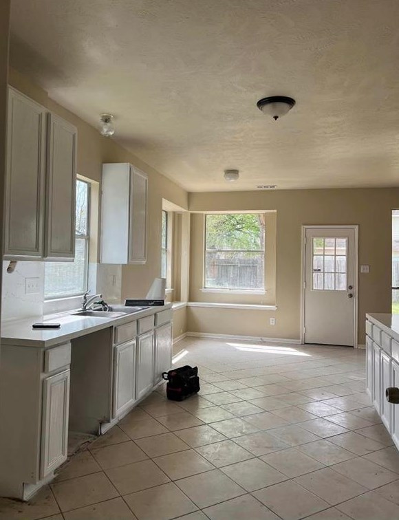 23723 Spring Dane Dr, Spring TX  77373-4901 exterior