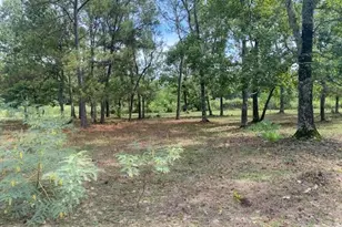 0 Firetower Rd, Conroe, TX 77304 - Photo 14