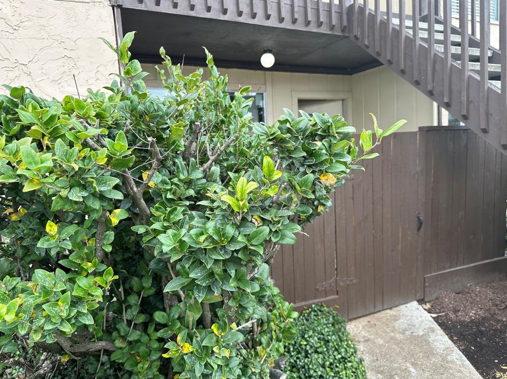 1500 Bay Area Blvd # 318, Houston, TX