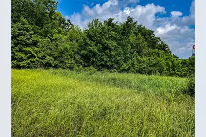 5.6 Acres Highway 19, Trinity, TX 75862 - Photo 6