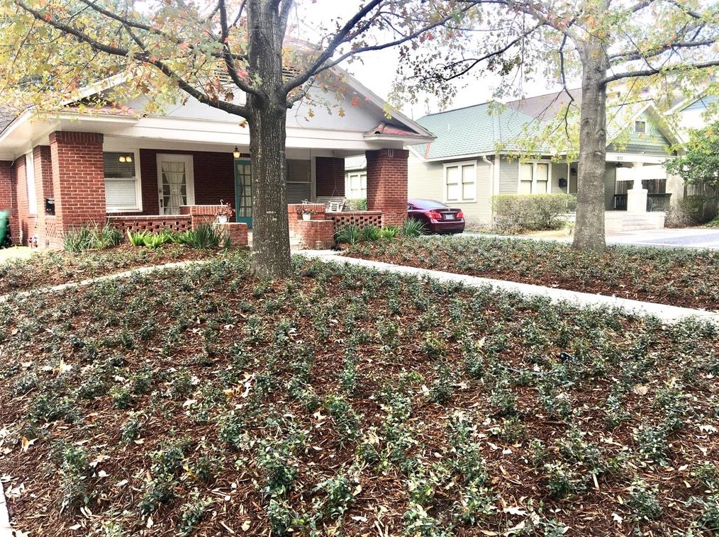 1529 Heights Blvd, Houston, TX 77008