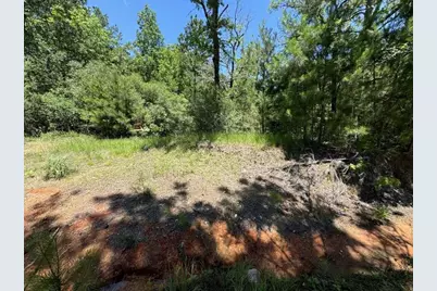 233 Flynn Lane, Trinity, TX 75862 - Photo 2