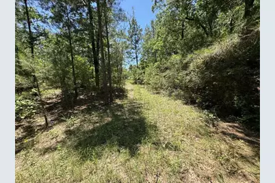233 Flynn Lane, Trinity, TX 75862 - Photo 4