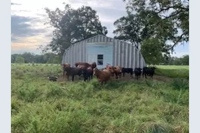 10496 County Road 321, Sweeny, TX 77480 - Photo 6