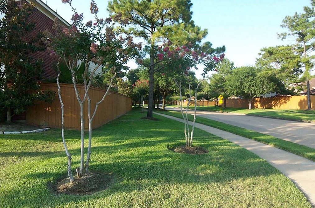 7902 Feather Springs Dr, Houston, TX 77095