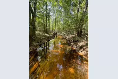 Tbd Co Rd 4455, Hillister, TX 77624 - Photo 6