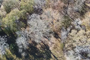 0 Belle Terre, Huffman, TX 77336 - Photo 1