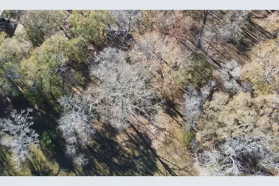 0 Belle Terre, Huffman, TX 77336 - Photo 2