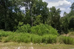 0 Cherry St, Huffman, TX 77336 - Photo 1