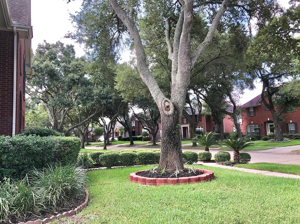 5103 Rebel Ridge Dr, Sugar Land, TX 77478