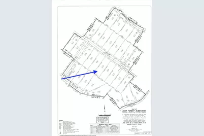 54 Coyote Run, New Waverly, TX 77358 - Photo 2