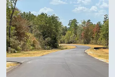 54 Coyote Run, New Waverly, TX 77358 - Photo 10