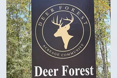 54 Coyote Run, New Waverly, TX 77358 - Photo 6