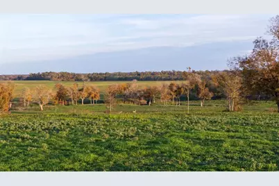 6164 Brazos Bow Way, Washington, TX 77880 - Photo 16