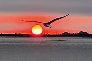 139 Isles End Rd, Tiki Island, TX 77554 - Photo 36