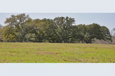 706 Grand Oaks Lane, Brenham, TX 77833 - Photo 8