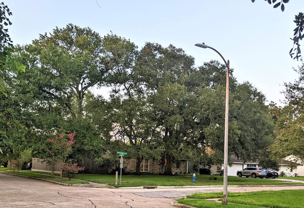 5630 Fontenelle Dr, Houston, TX 77035