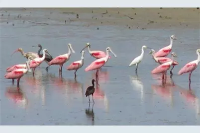 5 Largo, Hitchcock, TX 77563 - Photo 22