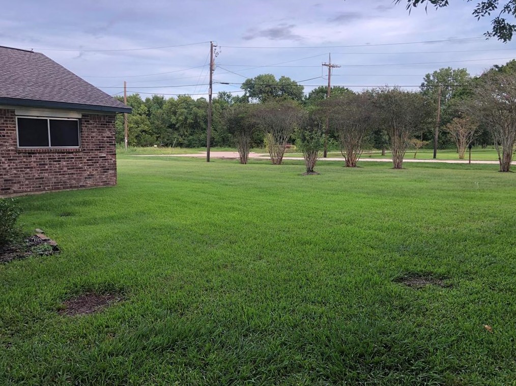 19696 Hastings Rd, Alvin, TX 77511