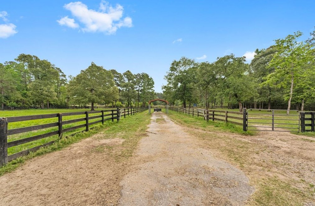 16164 Koenig Ln, Conroe TX  77384-4087 exterior