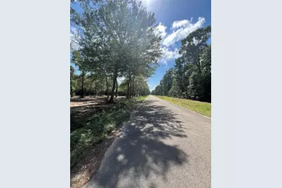 Tbd Lot 3 Deerwood Drive, Plantersville, TX 77363 - Photo 8
