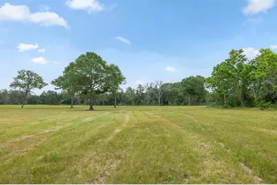 0000 Old Laake Lane, New Ulm, TX 78950 - Photo 8