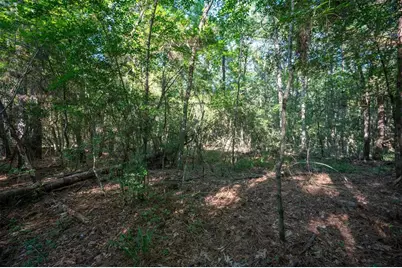 Tbd C R 3000, Woodville, TX 75979 - Photo 1