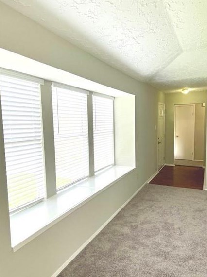 21018 Verdecove Ln, Spring TX  77388-4341 exterior