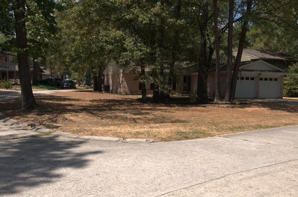 19 Woodtimber Ct, Spring TX  77381-2701 exterior