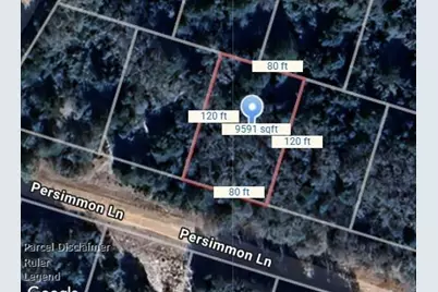 Lot 3 Persimmon Lane, Normangee, TX 77871 - Photo 2