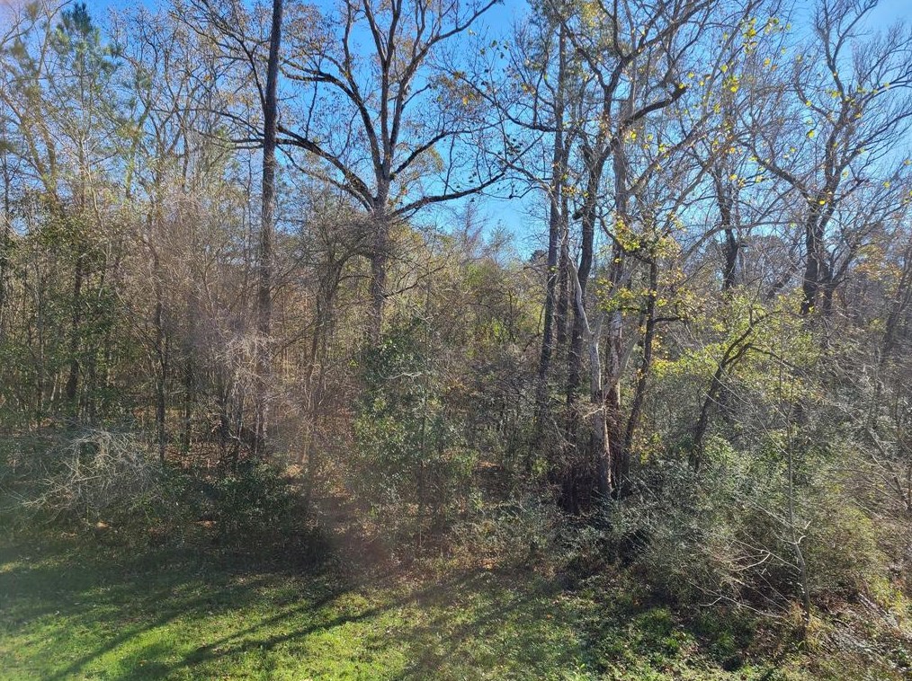 00 Rollingwood Loop, Conroe, TX 77303