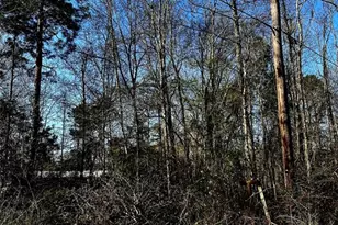 26992 Diamond C, Montgomery, TX 77372 - Photo 4