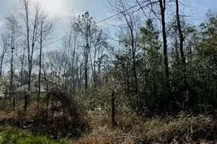 26992 Diamond C, Montgomery, TX 77372 - Photo 2