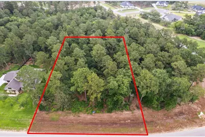 8713 Cedar Meadow Lane, Plantersville, TX 77363 - Photo 6