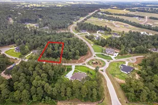 8713 Cedar Mdw Ln, Plantersville, TX 77363 - Photo 1