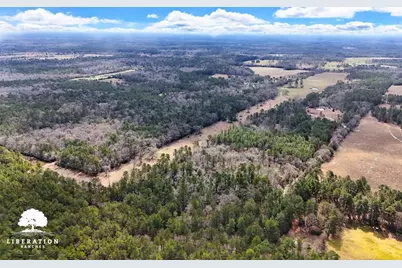 Tbd John Warren Lot 6 Road, Coldspring, TX 77331 - Photo 4
