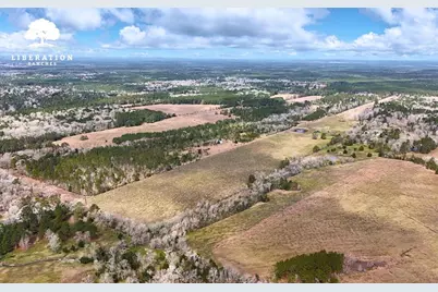 Tbd John Warren Lot 6 Road, Coldspring, TX 77331 - Photo 2