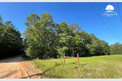 Tbd John Warren Lot 6 Road, Coldspring, TX 77331 - Photo 6