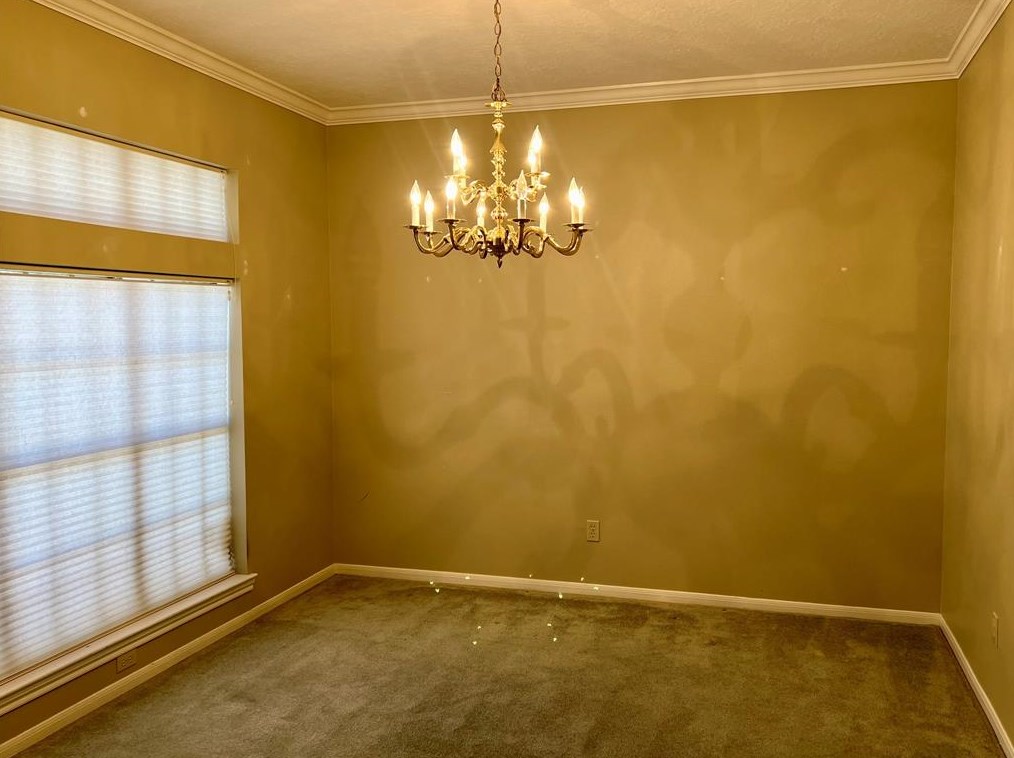 15003 Radstock Dr, Houston, TX 77062