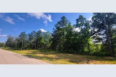1143 County Road 6324, Dayton, TX 77535 - Photo 2