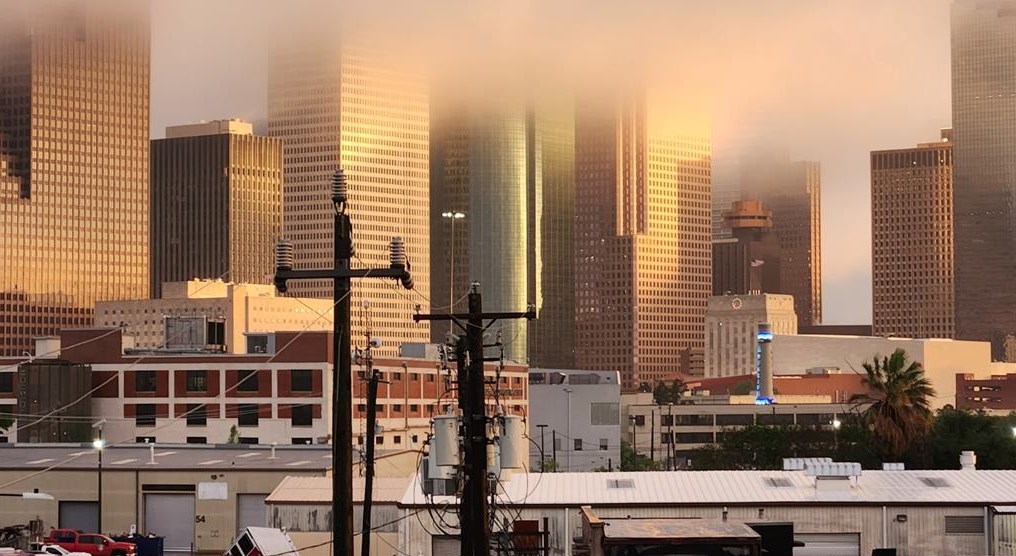 1118 Dart St, Houston TX  77007-4224 exterior