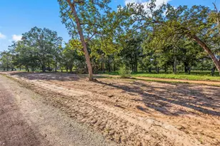 6141 Alans Memorial Ln, New Waverly, TX 77358 - Photo 2