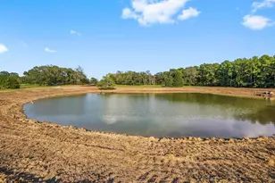 6141 Alans Memorial Ln, New Waverly, TX 77358 - Photo 6